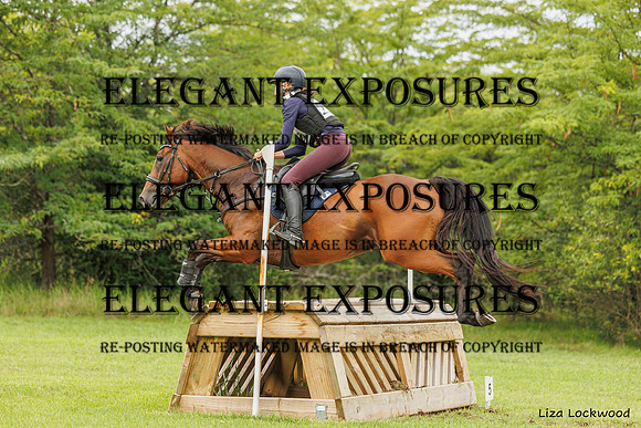 LHL_(AJG)_2343