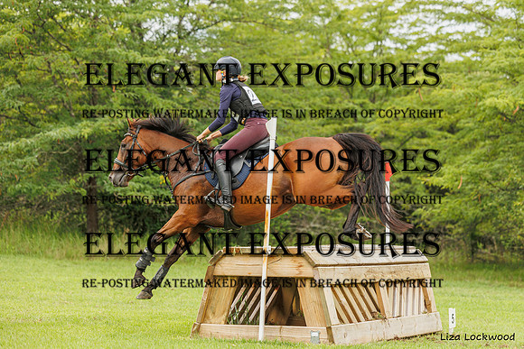 LHL_(AJG)_2344