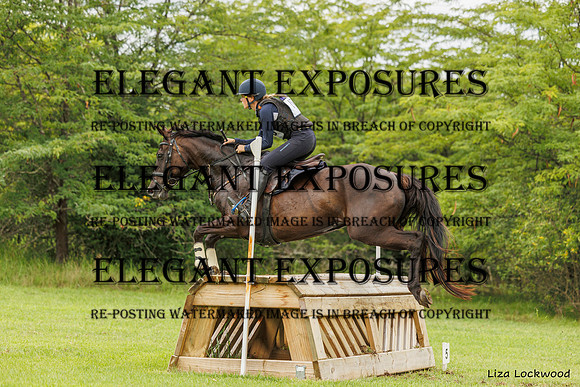 LHL_(AJG)_2369