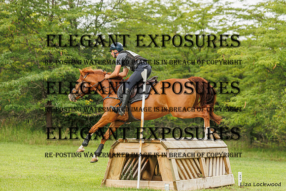 LHL_(AJG)_2437