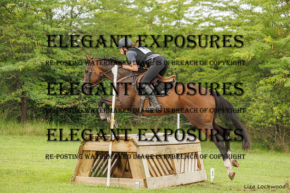 LHL_(AJG)_2454