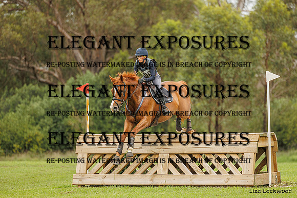 LHL_(AJG)_2356
