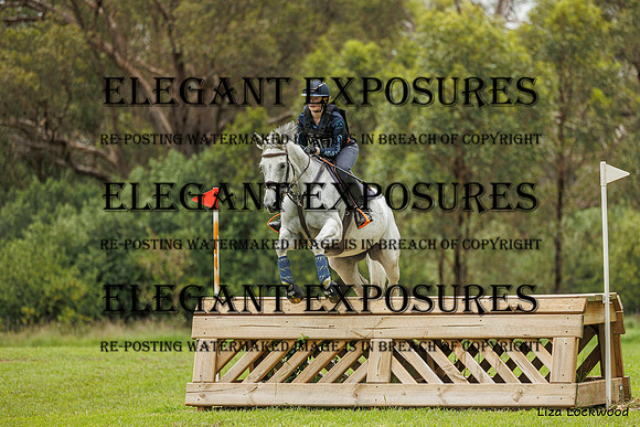 LHL_(AJG)_2517
