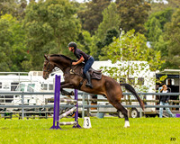 Equestriad - SJ - Ring 1 - 95cm - 15.02.2026