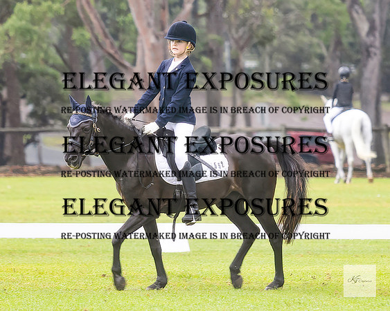 KAT(MS)-18021