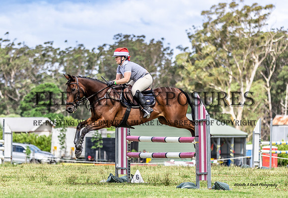 MAS_1270