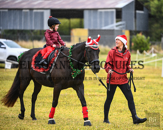 RII_0449