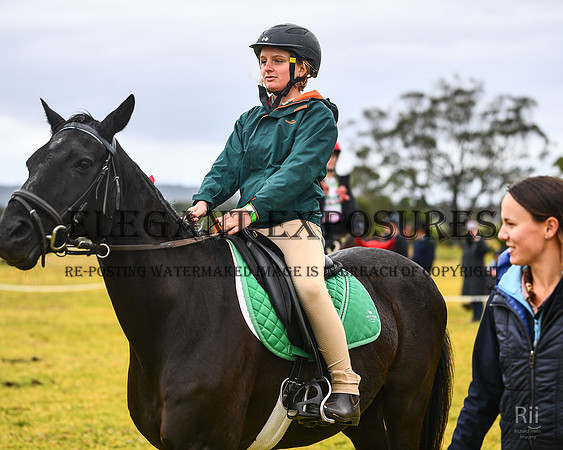RII_0863