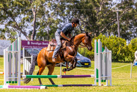 BRC - SJ - 45cm - 21.02.2026