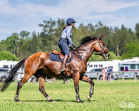 HM_1474