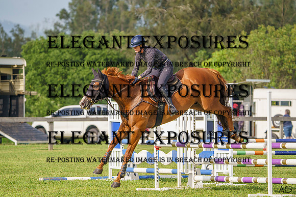 _AJG3951