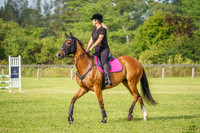 _AJG3897