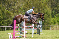 _AJG5290