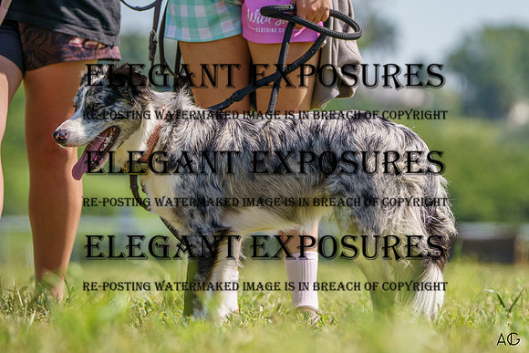 _AJG4850