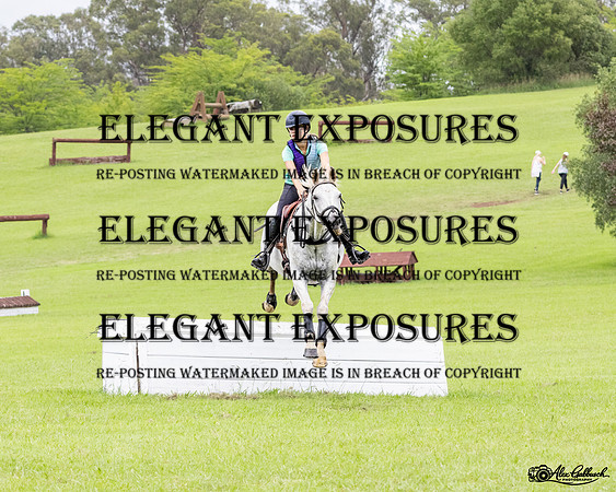 AG_3005