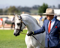 GSS - Saturday - Ring 3 - 7.3.2026