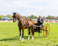 GSS - Saturday - Ring 2 - 7.3.2026