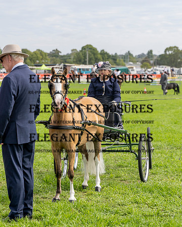 Ma4-1153