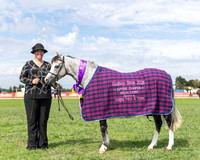 Goulburn Show Saturday - 7.3.2026