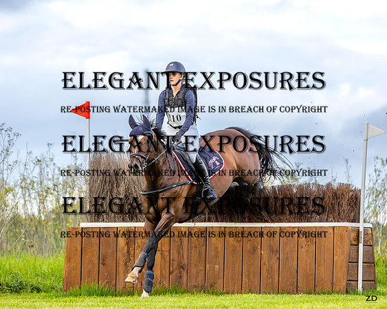 ZJD-1817