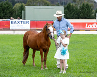 Ma4-1361