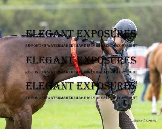 Ma4-1580
