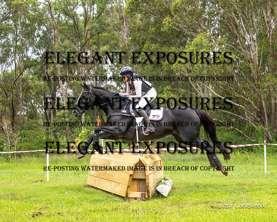 LHL(MS)-7435