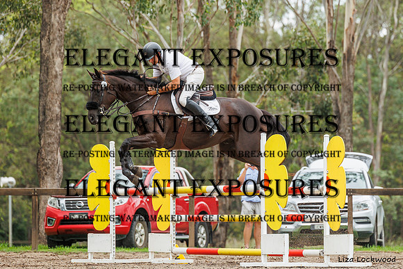 LHL(AJG)_4835
