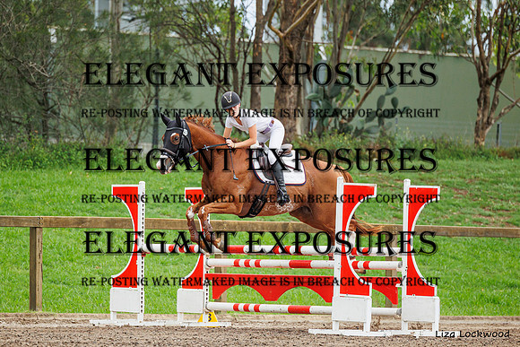 LHL(AJG)_5722