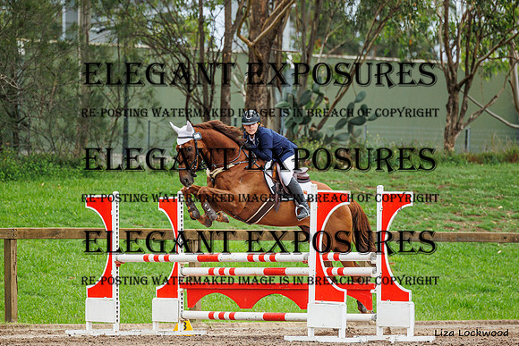 LHL(AJG)_5795