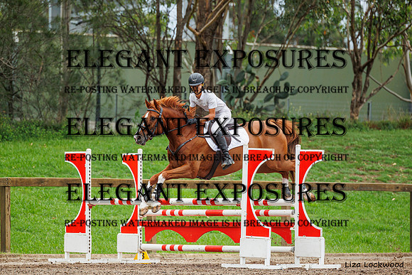LHL(AJG)_5814