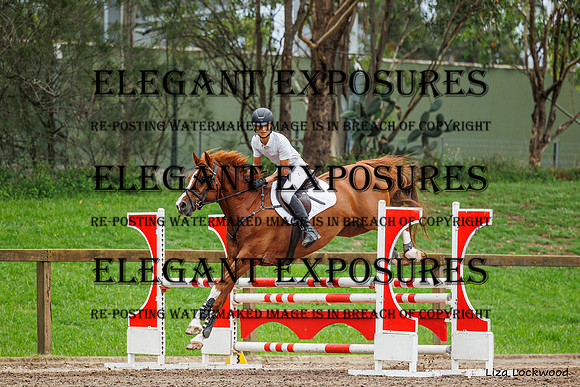 LHL(AJG)_5815