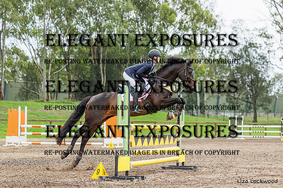 LHL(AJG)_5745