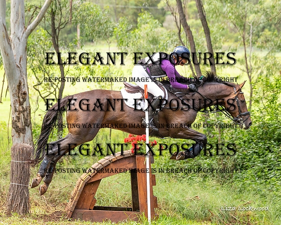 LHL(MS)-6519