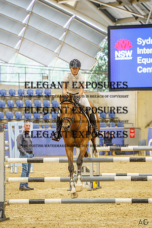 _AJG7991