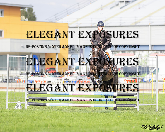 _MG_4145