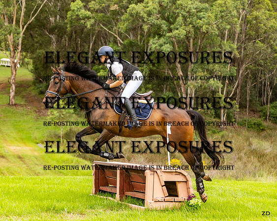 ZJD-2417