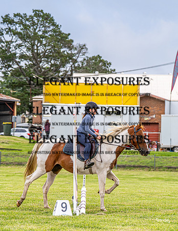 _LMW1186