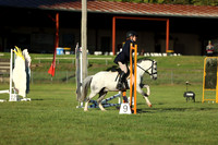 LHL_8198