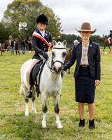 MVS - Show Horses - Ring 1 - 13.03.2026