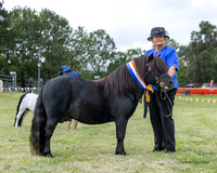 MVS - Show Horses - Ring 2 - 13.03.2026