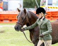 MVS - Show Horses - Ring 4 - 13.03.2026
