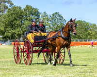 MVS - Show Horses - Ring 3 - 13.03.2026