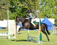MVS - Showjumping - 45cm - 14.03.2026