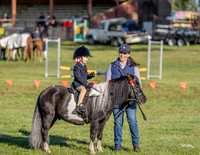 _LMW3685