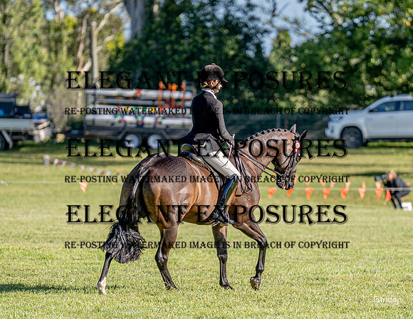 _LMW3794