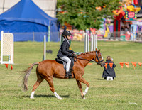 _LMW4190