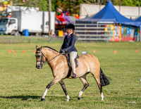 MVS - Show Horses - Ring 4  - 14.03.2026