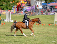 _LMW4195