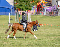 _LMW4191